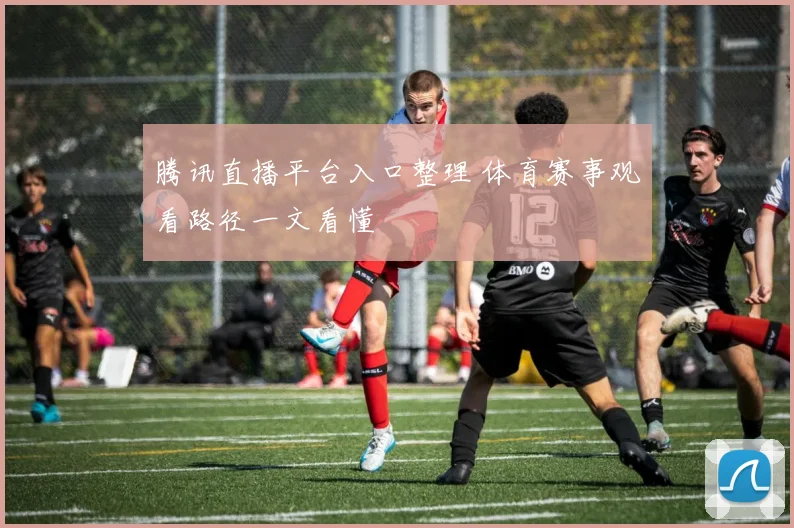 腾讯直播平台入口整理 体育赛事观看路径一文看懂
